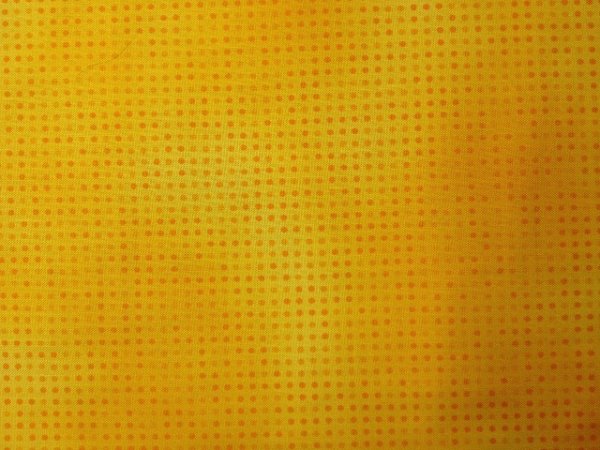 画像2: コットンプリントROBERT KAUFMAN (2)